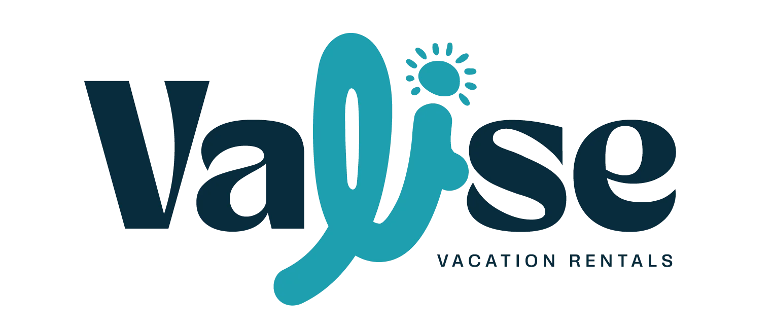 LOGO VALISE-02